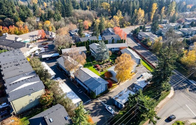 Ivy Terrace Apartments