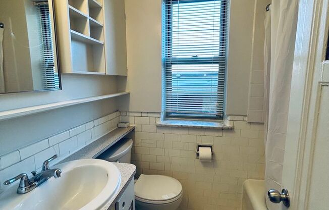 Studio, 1 bath, 241 sqft, $1,250, Unit 410