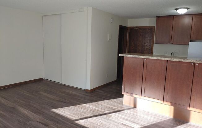 Studio, 1 bath, 375 sqft, $865, Unit 112