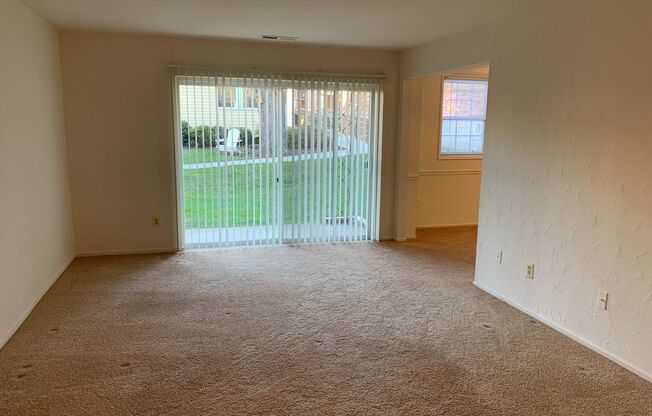 1 bed, 1 bath, 742 sqft, $1,775, Unit 5335 #1