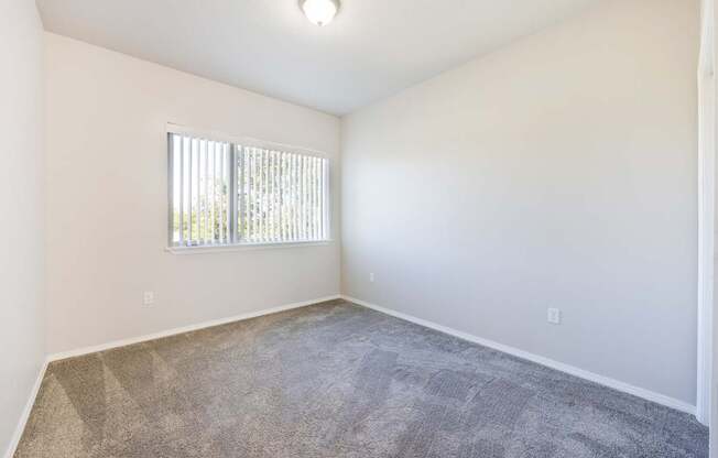 A room with a carpeted floor and a window with blinds.