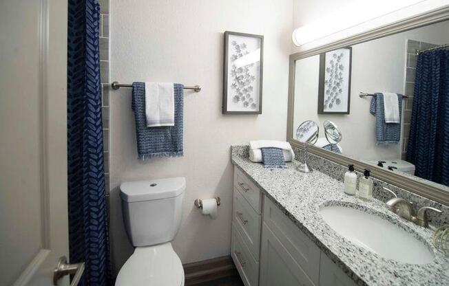 Luxurious Bathroom at Paces Ridge at Vinings, Atlanta, 30339