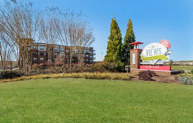 Views at Coolray Field apartments Lawrenceville, GA  30043
