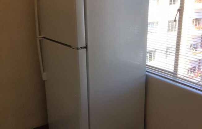 1 bed, 1 bath, 518 sqft, $1,249, Unit 503A