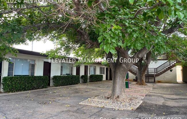 1024 ALVARADO DR SE