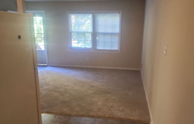 1 bed, 1 bath, 600 sqft, $1,100