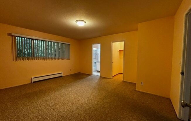 1 bed, 1 bath, $2,600, Unit unit 5