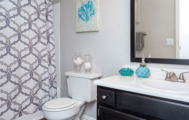 a bathroom with a toilet sink and a mirror