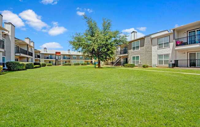 A spacious outdoor courtyard here at High Plains with a wide, manicured green lawn surrounded by apartment buildings featuring private balconies and large windows. A mature tree sits at the center of the space, creating a bright, open, and welcoming community setting under clear blue skies.