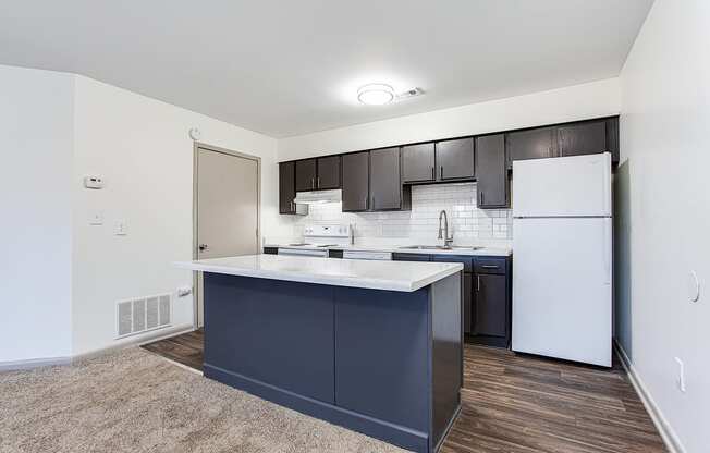 Modern Kitchen With Custom Cabinet at Riverwalk Vista, South Carolina, 29210