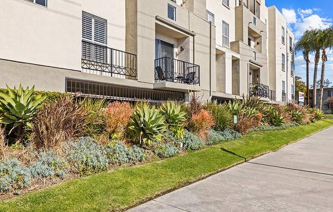 Beautiful drought resistant landscaping.