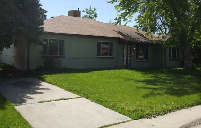 Spacious 4 bedroom 2 bath house with large backyard!