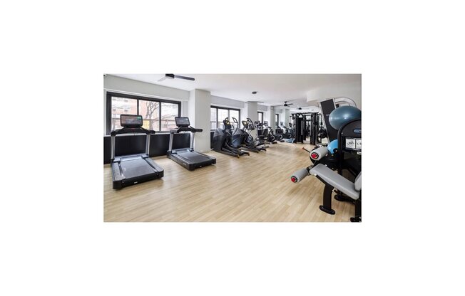 1 bed, 1 bath, 500 sqft, $3,900, Unit 17E