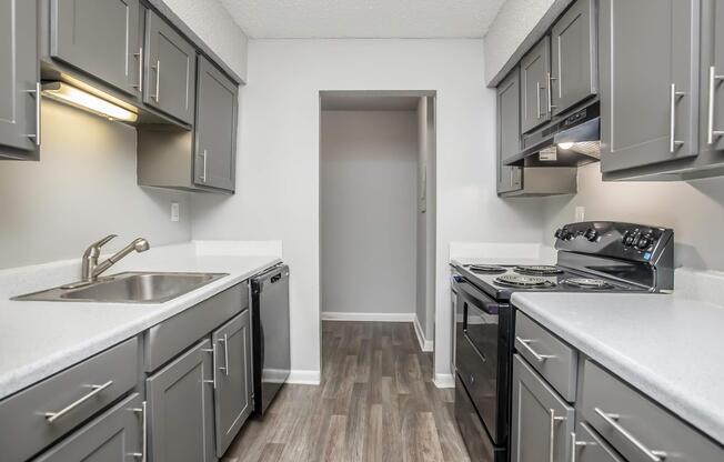 1 bed, 1 bath, 800 sqft, $1,250