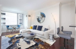 Studio, 1 bath, 610 sqft, $3,000, Unit 307