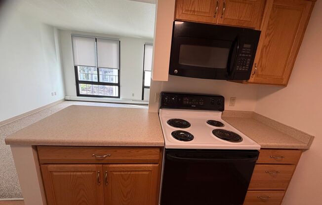1 bed, 1 bath, 750 sqft, $1,095, Unit 203E