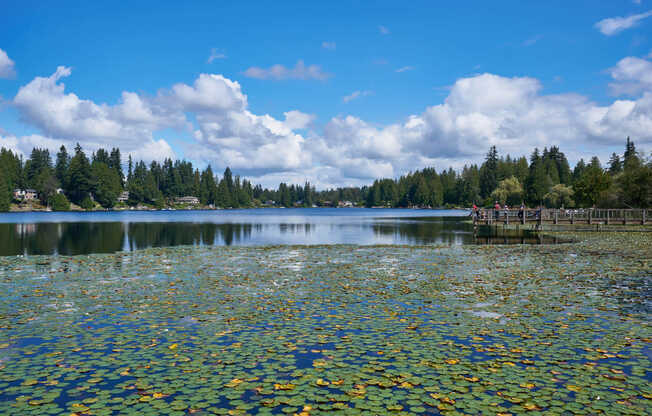 Martha Lake Park is home to abundant wildlife