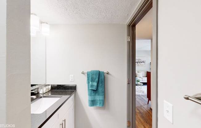 a bathroom with a sink and a mirror
