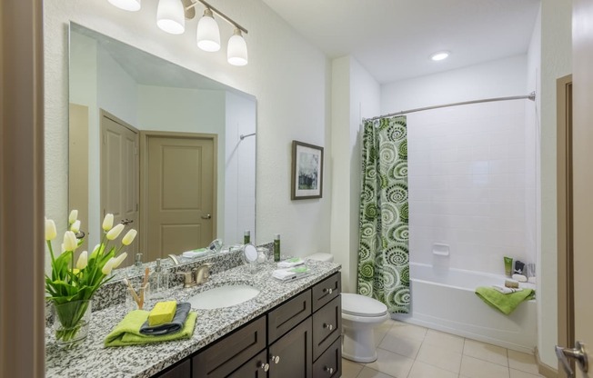 a bathroom with a sink and a shower and a toilet