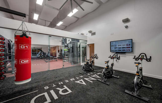A gym with a red punching bag and stationary bikes.
