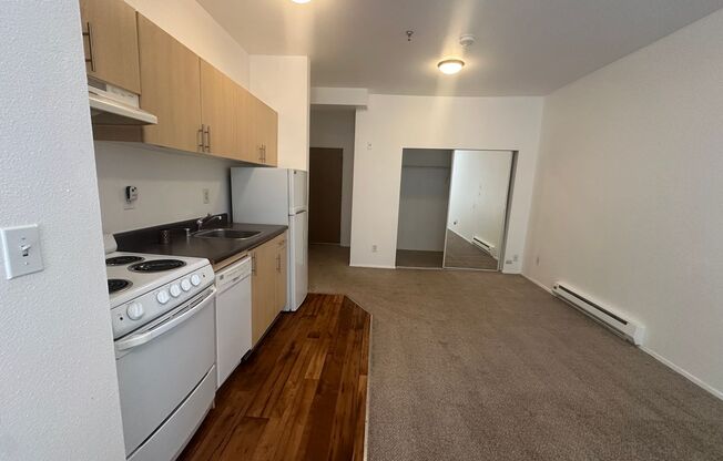 Studio, 1 bath, 315 sqft, $1,200