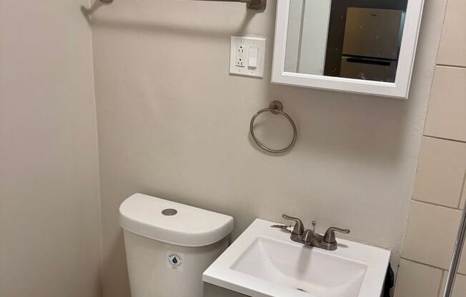 Studio, 1 bath, 300 sqft, $1,095, Unit #210