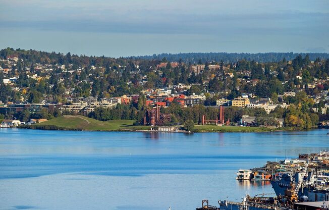1 bed, 1 bath, 412 sqft, $2,095, Unit 304