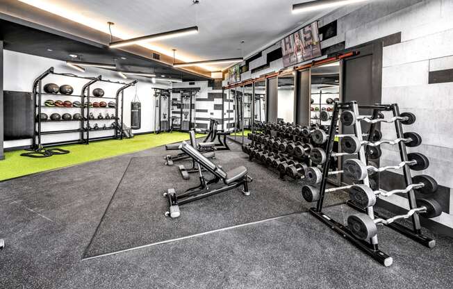 the gym is equipped with weights and cardio equipmentat The Overlook, Winter Garden, 34787