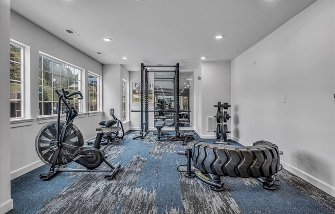 the gym in the owners home is equipped with weights and cardio equipment