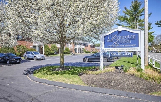 2 beds, 1 bath, 906 sqft, $2,300, Unit 215
