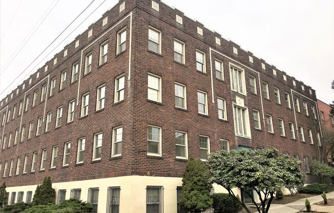 Studio, 1 bath, 540 sqft, $1,450, Unit 106