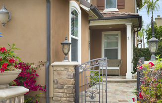 48 DESERT WILLOW