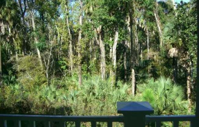 1230 Wright Circle, Unit 214, Celebration, FL 34747