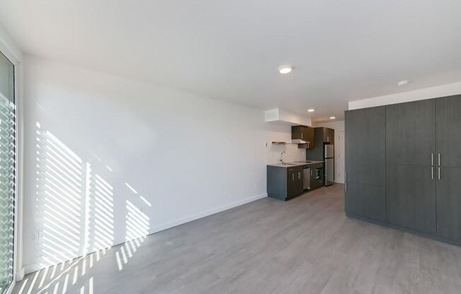 Studio, 1 bath, 300 sqft, $1,395, Unit 204