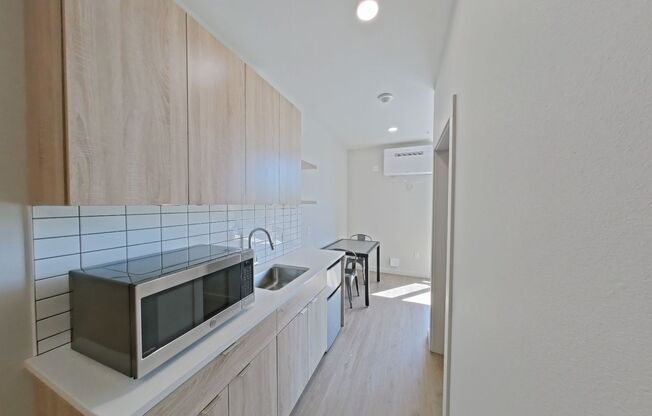 Studio, 1 bath, 314 sqft, $1,250, Unit 310