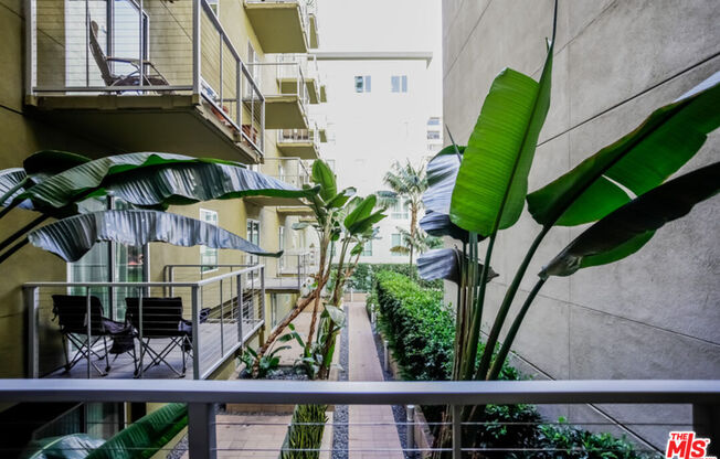 1 bed, 1 bath, 855 sqft, $2,500, Unit 343