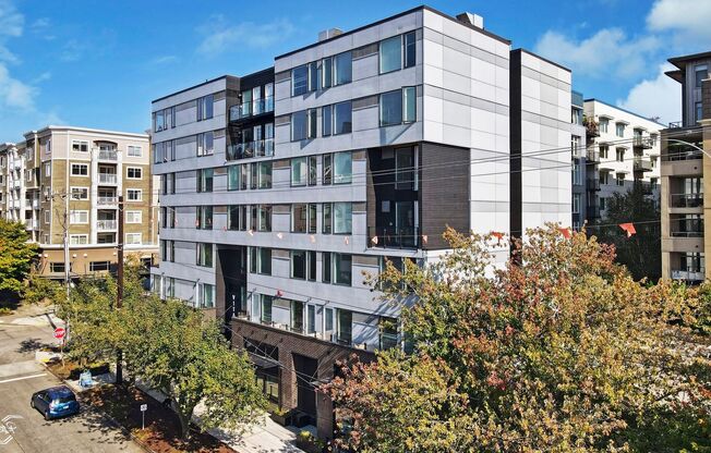 Studio, 1 bath, 272 sqft, $1,290, Unit 211