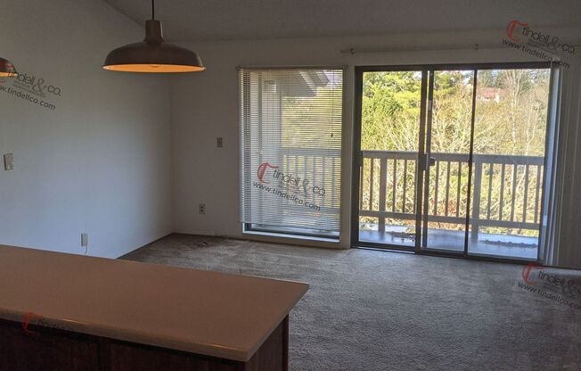 Studio, 1 bath, 416 sqft, $1,150