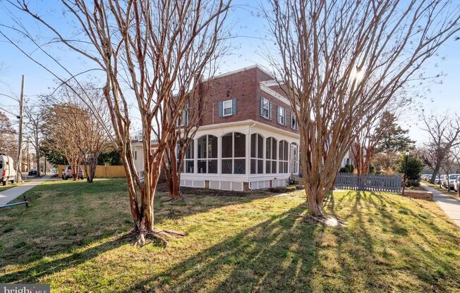 Gorgeous, Sun-lit,Townhouse in Alexandria