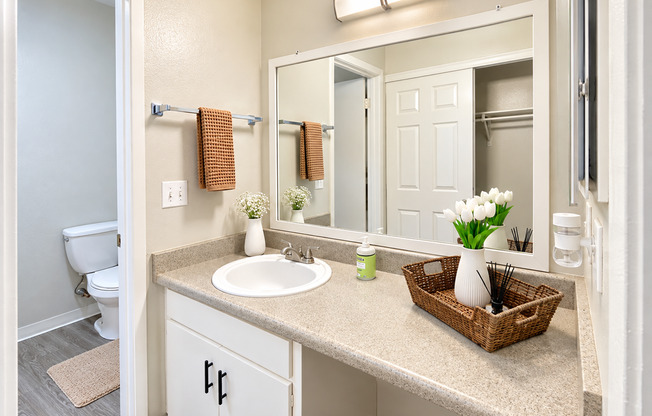 Studio, 1 bath, 366 sqft, $1,225