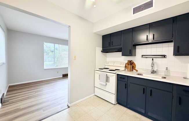1 bed, 1 bath, 800 sqft, $925, Unit 4101-1G
