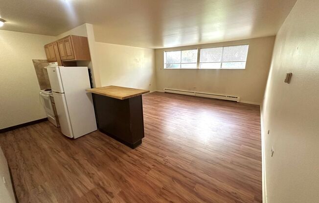 Studio, 1 bath, 450 sqft, $1,200