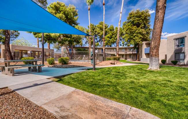 our apartments have a spacious courtyard with picnic tables and grass