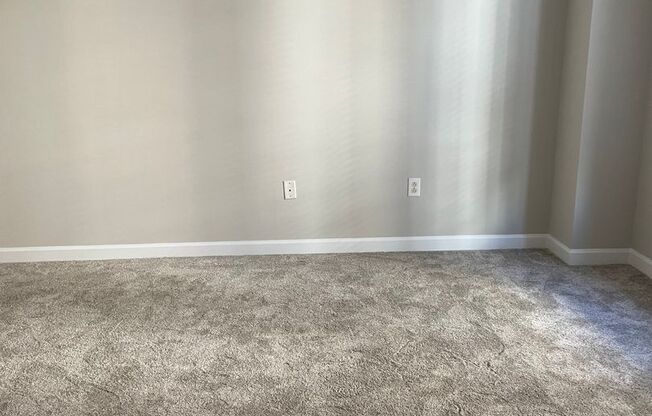 1 bed, 1 bath, $1,600