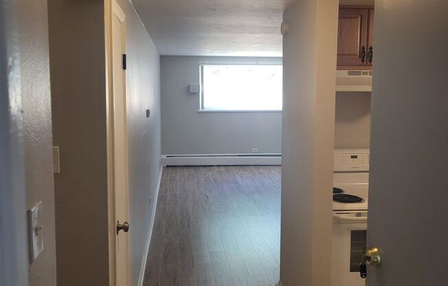 Studio, 1 bath, 500 sqft, $945, Unit 105