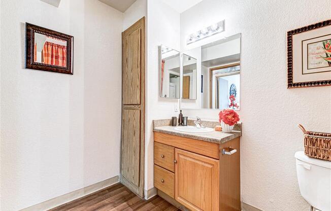 Mirrored bathroom vanity of Country Club at Valley View Senior Apartments in Las Vegas, NV, For Rent. Now leasing 1 and 2 bedroom apartments.