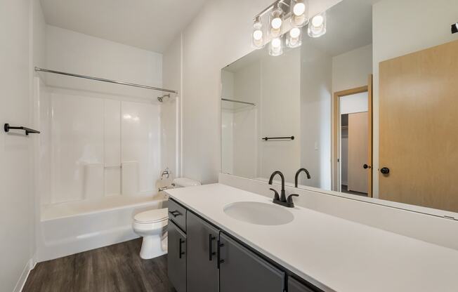 a bathroom with an oversized vanity sink, under-sink cabinet storage and a toilet and shower.at Shoreline Village, Richland, WA