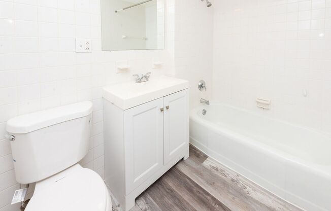 Studio, 1 bath, 368 sqft, $1,525, Unit 113