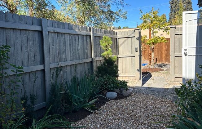 Newly Remodeled Studio in Downtown Redmond