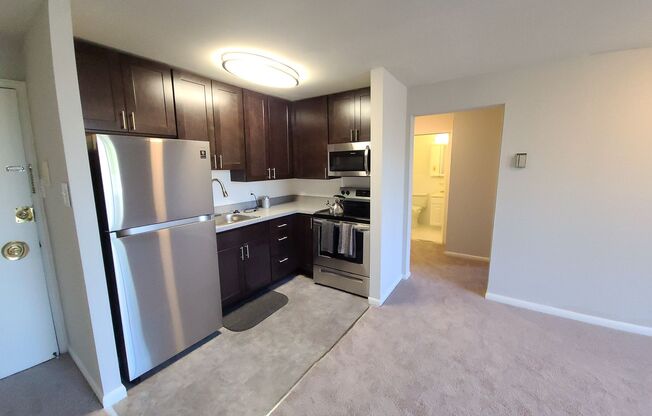 1 bed, 1 bath, 550 sqft, $1,345, Unit 117